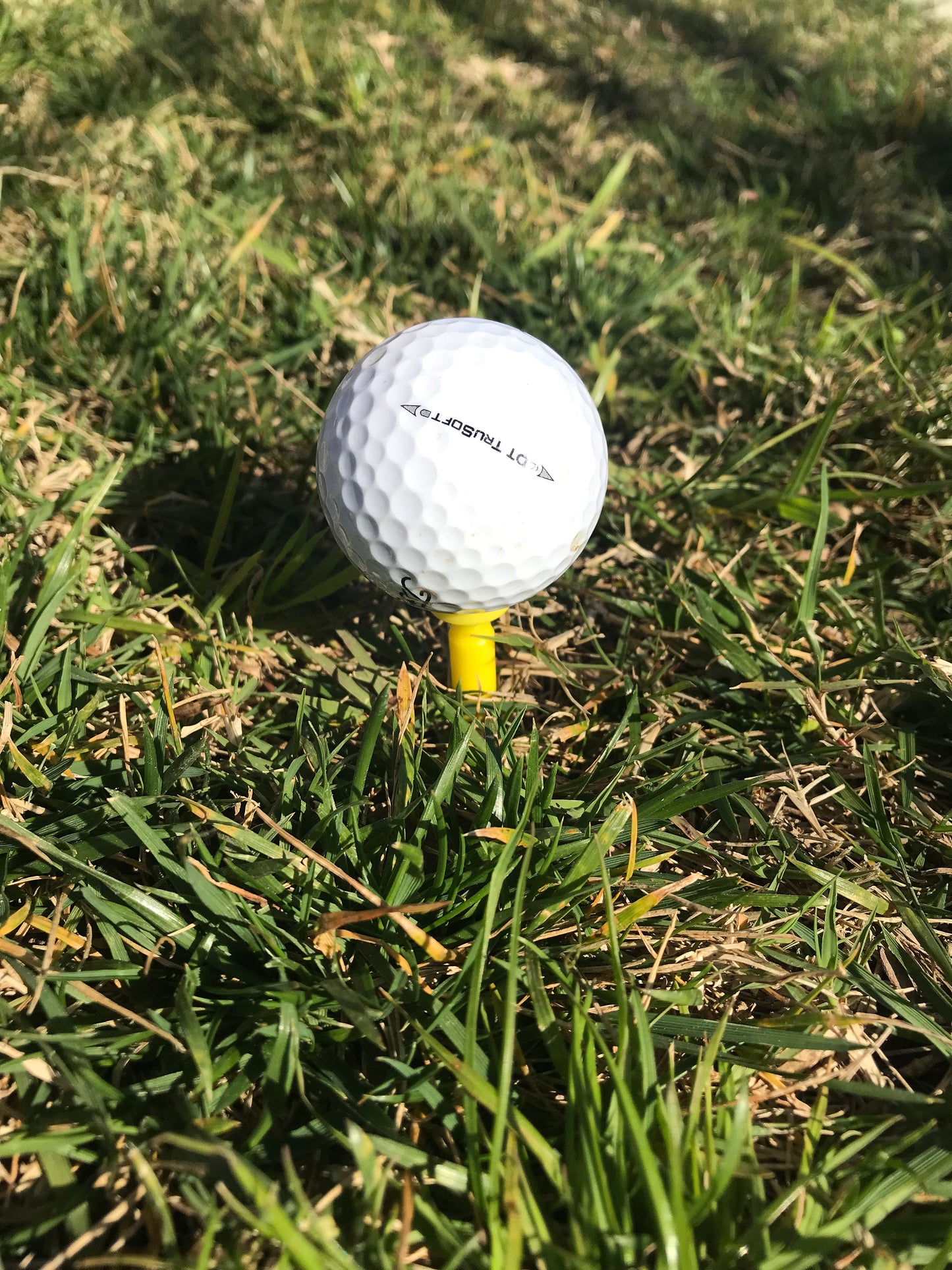 Won't Fly Golf Tee - The Ultimate Tee for Every Golfer